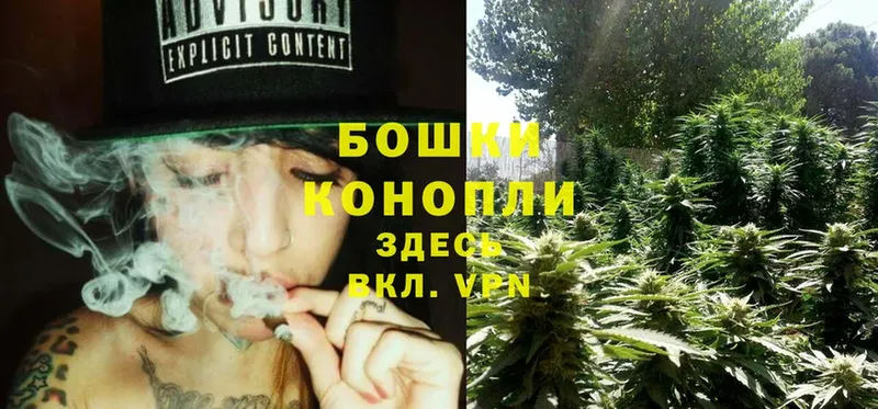 Конопля OG Kush  где купить наркоту  Михайловск 